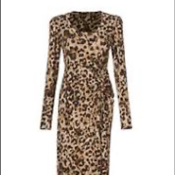 Roar! CAbi SELMA DRESS in HTF size small - Picture 2 of 2